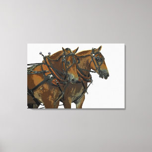 Belgisch trekpaard team gespannen canvas kunst