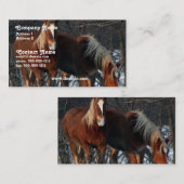 Belgisch Visitekaartje voor conceptpaarden (Voorkant / Achterkant)