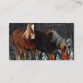 Belgisch Visitekaartje voor conceptpaarden (Achterkant)