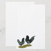 Belgisch waterbedrijf Bantams Briefpapier (Voorkant / Achterkant)