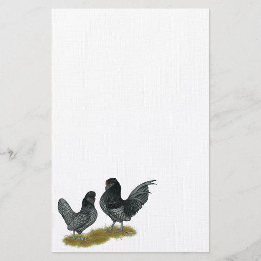 Belgisch waterbedrijf Bantams Briefpapier (Voorkant)
