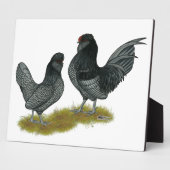 Belgisch waterbedrijf Bantams Fotoplaat (Zijkant)