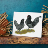 Belgisch waterbedrijf Bantams Fotoplaat (Zijkant)