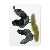 Belgisch waterbedrijf Bantams Magneet (Verticaal)