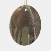 Belgisch wetsontwerp voor paarden keramisch ornament (Rechts)