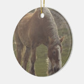 Belgisch wetsontwerp voor paarden keramisch ornament (Links)