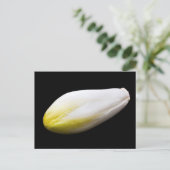 Belgische andijvie briefkaart (Staand voorkant)