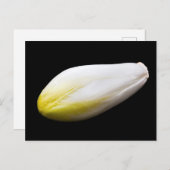 Belgische andijvie briefkaart (Voorkant / Achterkant)