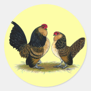 Belgische d'Anvers Bantams:  Kwartel Ronde Sticker