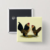 Belgische d'Anvers Bantams:  Kwartel Vierkante Button 5,1 Cm (Voorkant /achterkant)