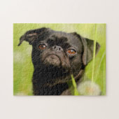 Belgische Griffon Dog. Legpuzzel (Horizontaal)