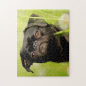 Belgische Griffon Dog. Legpuzzel (Verticaal)