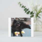 Belgische herder door Fireplace Briefkaart (Staand voorkant)