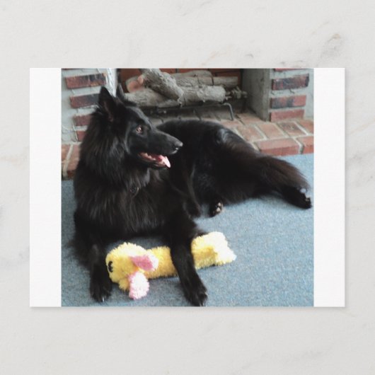 Belgische herder door Fireplace Briefkaart (Voorkant)