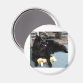 Belgische herder door Fireplace Magneet (Voorkant / Achterkant)