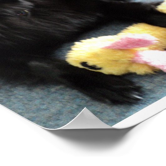 Belgische herder door Fireplace Poster (Hoek)