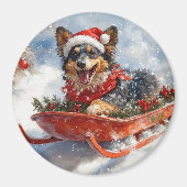 Belgische herder in slee laat het sneeuwen Kerstmi Magneet (Voorkant)