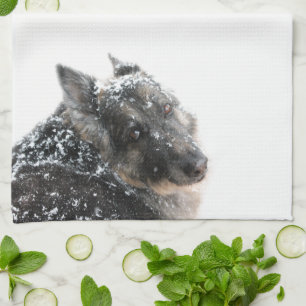Belgische herder in sneeuw theedoek