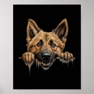 Belgische Herder Laekenois Hond Moeder Vader gluur Poster