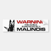 Belgische herder - Malinois Bumpersticker (Voorkant)
