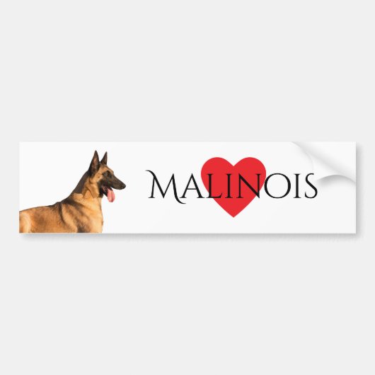 Belgische Herder Malinois Bumpersticker (Voorkant)