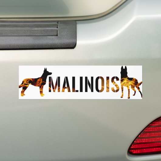 Belgische herder - Malinois Bumpersticker (Op auto)