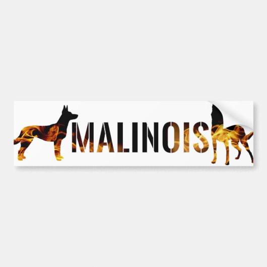 Belgische herder - Malinois Bumpersticker (Voorkant)