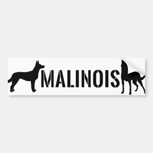 Belgische herder - Malinois Bumpersticker (Voorkant)