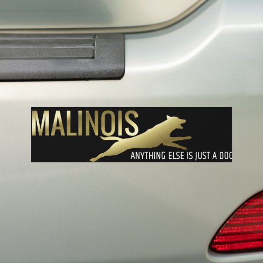 Belgische herder - Malinois Bumpersticker (Op auto)