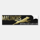 Belgische herder - Malinois Bumpersticker (Voorkant)