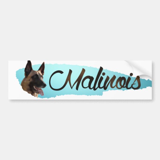 Belgische herder - Malinois Bumpersticker (Voorkant)