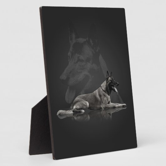 Belgische herder - Malinois Fotoplaat (Zijkant)