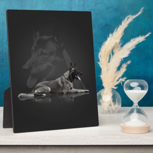 Belgische herder - Malinois Fotoplaat (Zijkant)