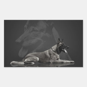 Belgische herder - Malinois Rechthoekige Sticker