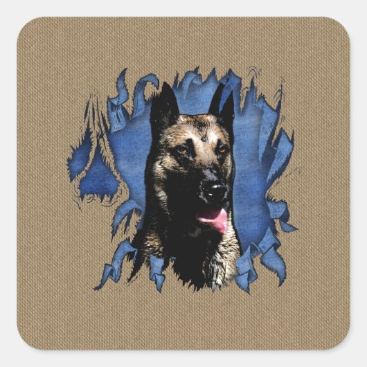 Belgische herder - Malinois Vierkante Sticker (Voorkant)