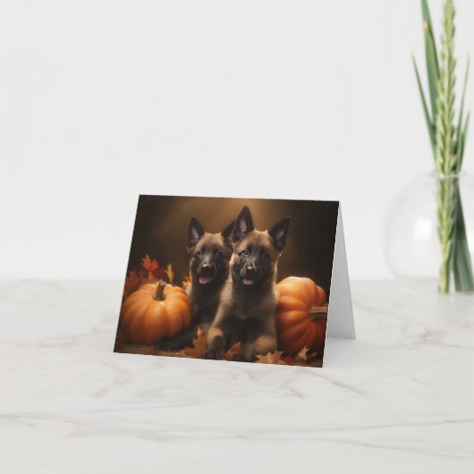 Belgische Herder Puppy Herfst Delight Pompoen Kaart (Voorkant)