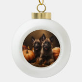 Belgische Herder Puppy Herfst Delight Pompoen Keramische Bal Ornament (Voorkant)