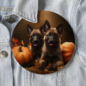 Belgische Herder Puppy Herfst Delight Pompoen Ronde Button 6,0 Cm (In situ)