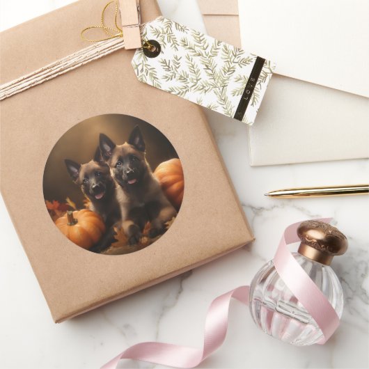 Belgische Herder Puppy Herfst Delight Pompoen Ronde Sticker (Geschenken)