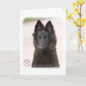 Belgische Herdershond 9R096D-022 Kaart (Gele Bloem)