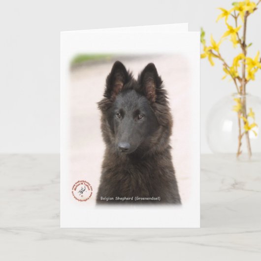 Belgische Herdershond 9R096D-022 Kaart (Gele Bloem)