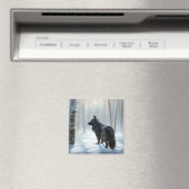 Belgische herdershond laat het sneeuwen Kerstmis Magneet (Insitu (Vaatwasser))