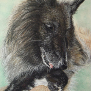 belgische herdershond met zwarte kitten legpuzzel