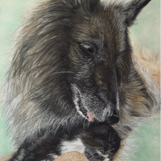 belgische herdershond met zwarte kitten legpuzzel