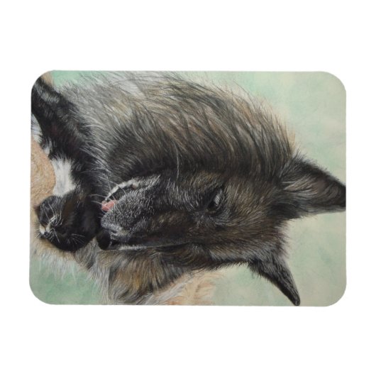 belgische herdershond met zwarte kitten magneet (Horizontaal)