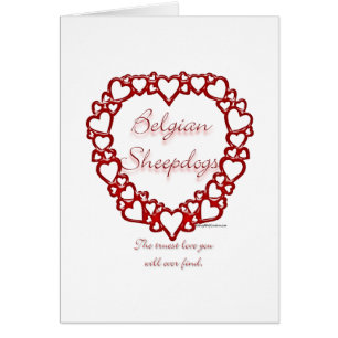 Belgische herdershond True Love