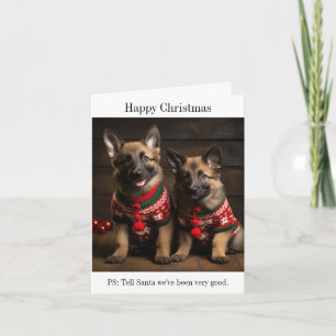 Belgische Herdershonden Puppies Kerstkaart Kaart