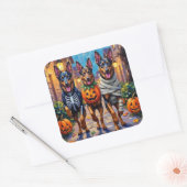 Belgische Herdershonden Trick-or-Treating Hallowee Vierkante Sticker (Envelop)