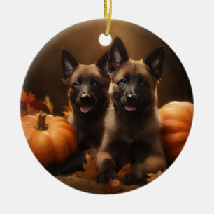 Belgische Herderspup Herfstvreugde Pompoen Keramisch Ornament