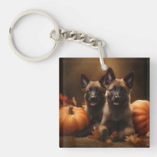 Belgische Herderspup Herfstvreugde Pompoen Sleutelhanger